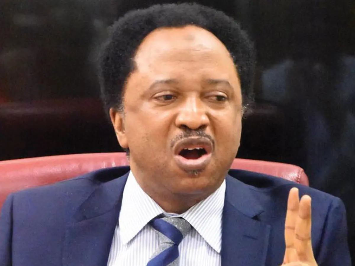 Why military takeover of govt in West Africa increasingly re-emerging – Shehu Sani