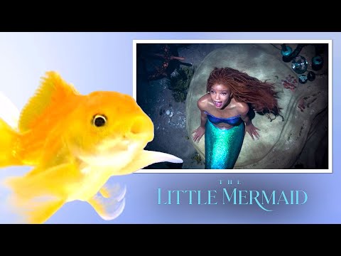 REAL Fish REACTS to The Little Mermaid