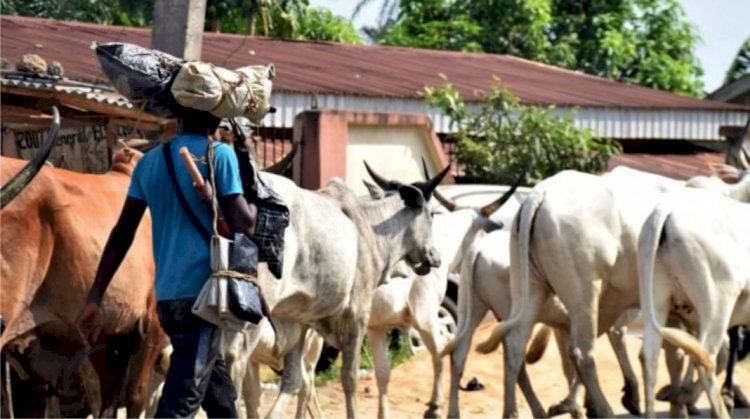 BREAKING: Missing Fulani leader found dead in Plateau