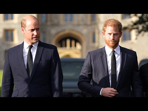 Prince William and Prince Harry Aren’t Expected to Reconcile Anytime Soon (Source)