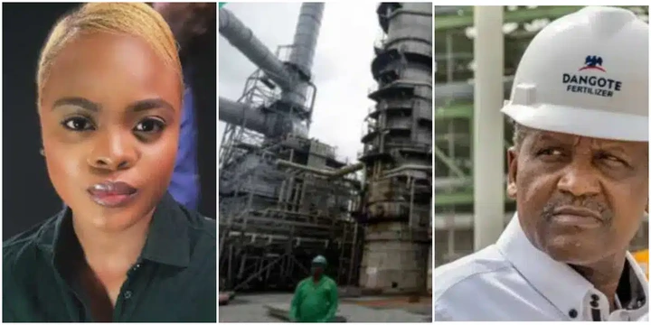 “The competition is tough” – Lady leaks secret as another billionaire, after Dangote, begins his refinery