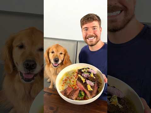 Feeding A Dog  vs ,000 Steak