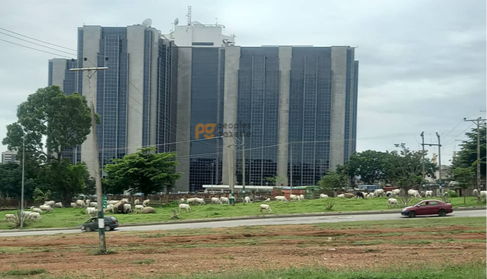 Relocating CBN, FAAN’s Key Departments Attempt To Undermine Abuja’s Capital Status — AYCF