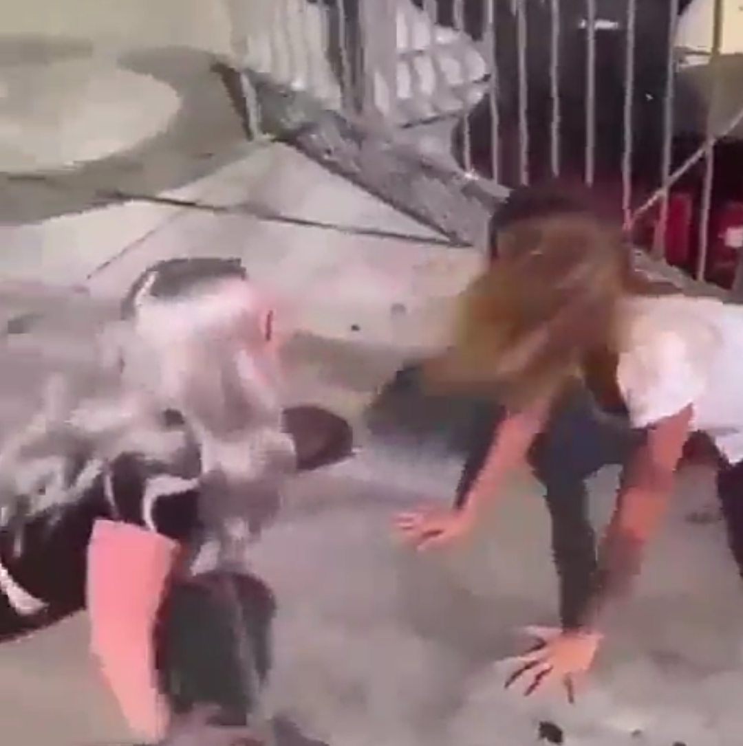 Checkout Women Who Identify As Animals, Nearly Attack Each Other ( Video)