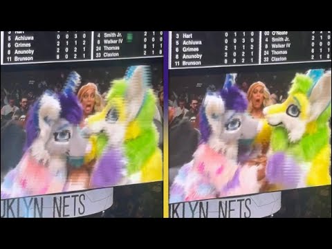 Tyra Banks TERRORIZED by Furries at NBA Game