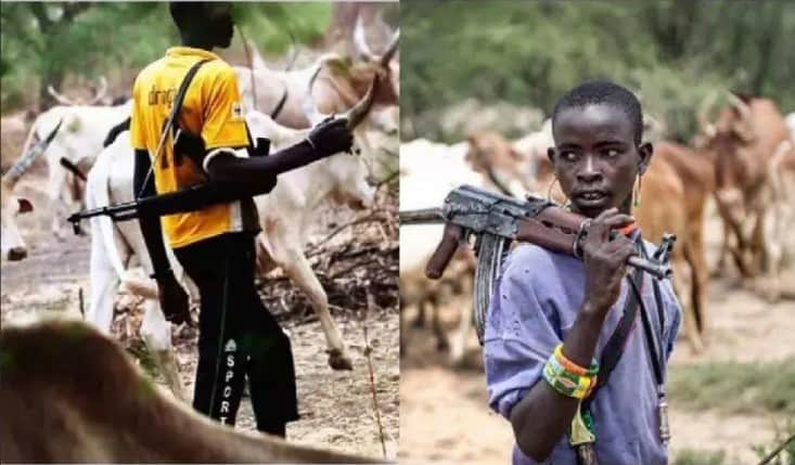 Tension As Gunmen Waylay Herdsmen, Launch Heavy Attack On Them, Their Cows (PHOTO)