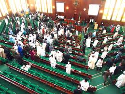 Drama As Heat Deal With Lawmakers After NEPA Took Light At National Assembly