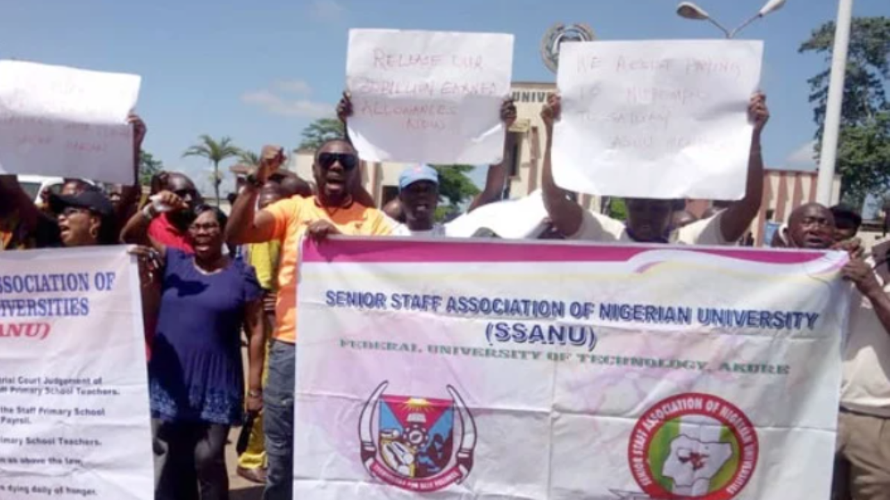 It Has Already Started- NASU, SSANU Begin Strike, Ground Activities In Universities