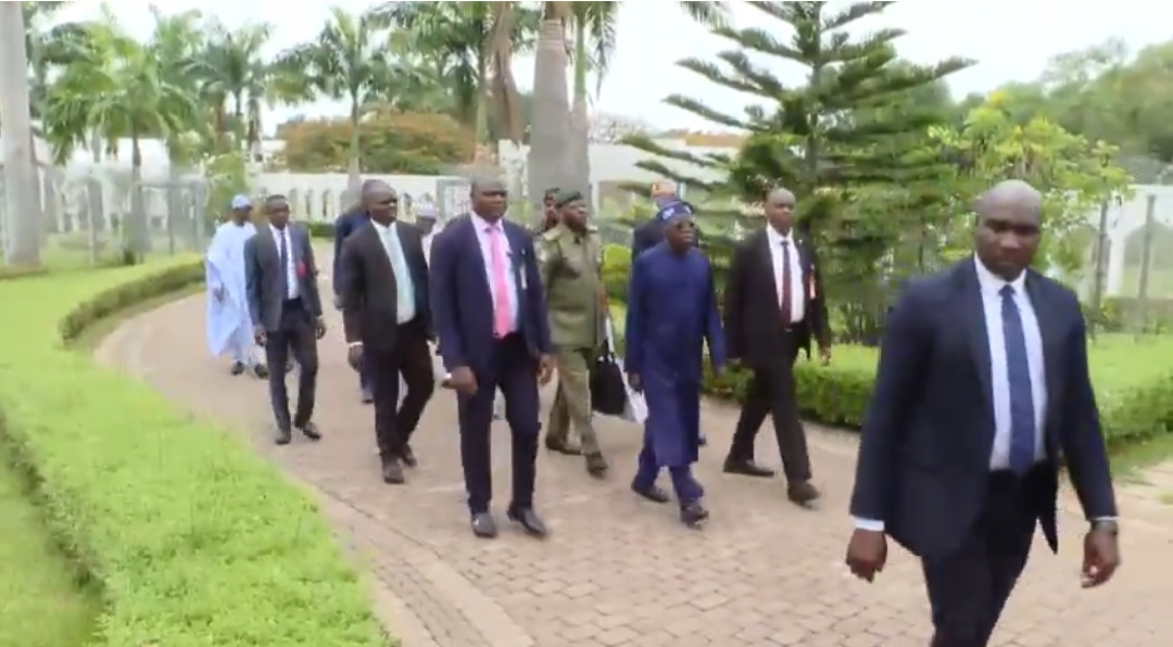 Presidency releases video of Tinubu strolling to office 9ja Breed