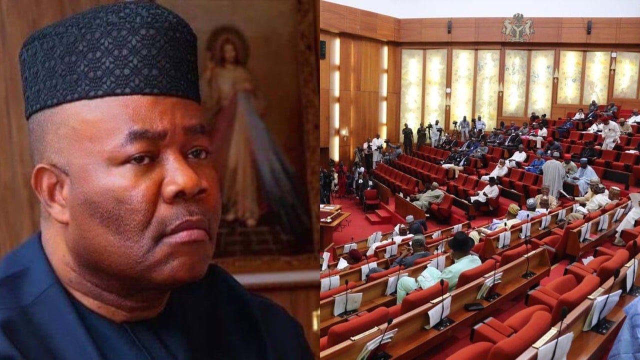 BREAKING: Kicks As Senate Passes Cattle Rearing, Ranching Bill