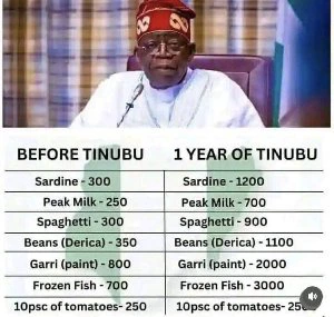 Garri is now sold for N4,500 – Nigerians query Tinubu as old and new prices of food emerge