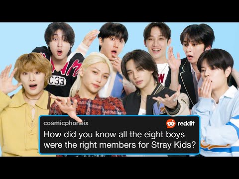 Stray Kids Reply to Fans Online | Actually Me